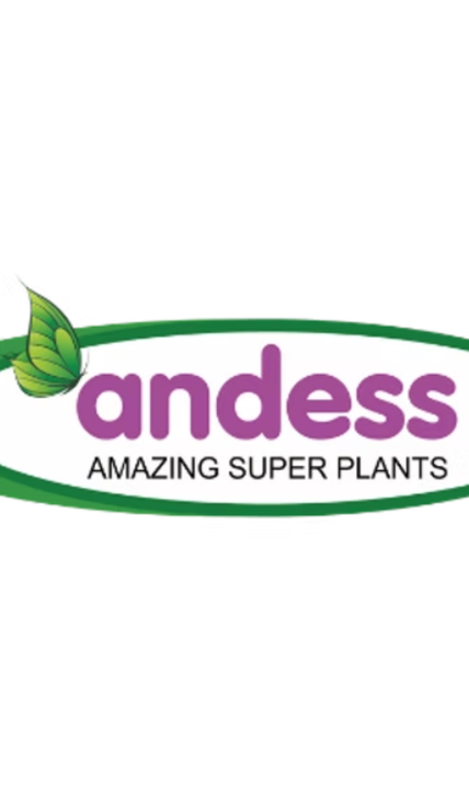 Andess