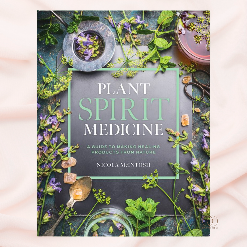 Plant Spirit Medicine Making: A Guide to Making Healing Products from Nature