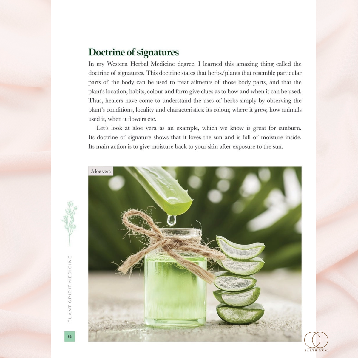 Plant Spirit Medicine Making: A Guide to Making Healing Products from Nature