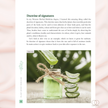 Plant Spirit Medicine Making: A Guide to Making Healing Products from Nature