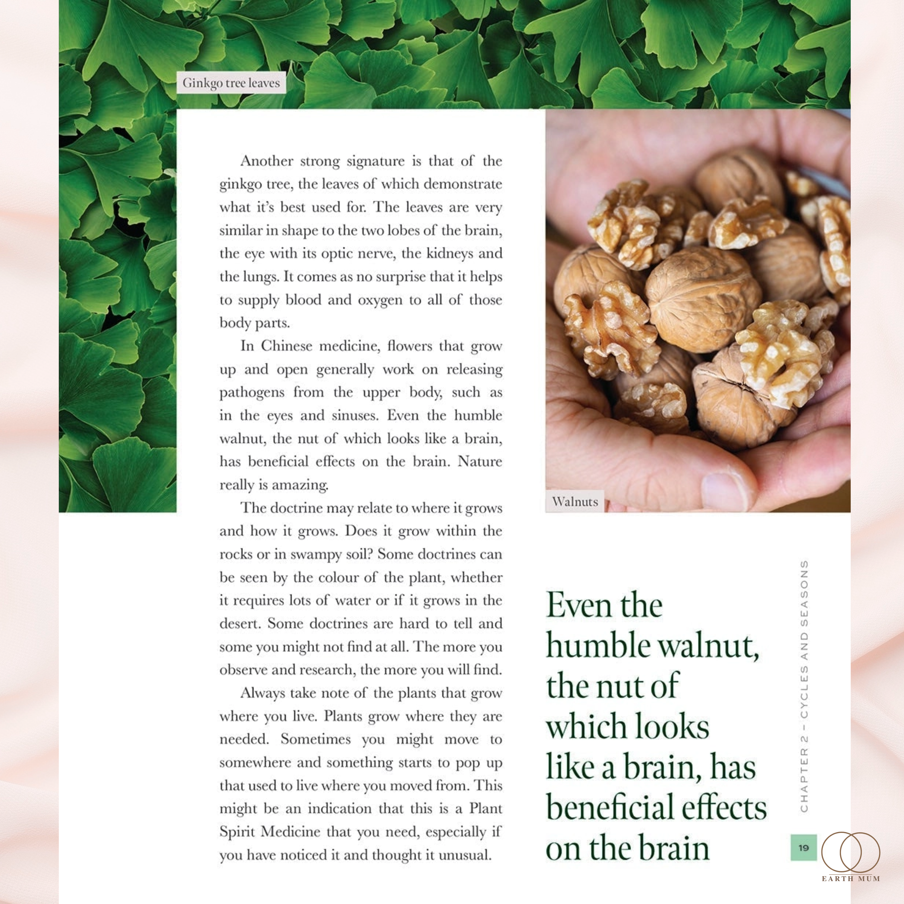 Plant Spirit Medicine Making: A Guide to Making Healing Products from Nature