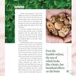 Plant Spirit Medicine Making: A Guide to Making Healing Products from Nature