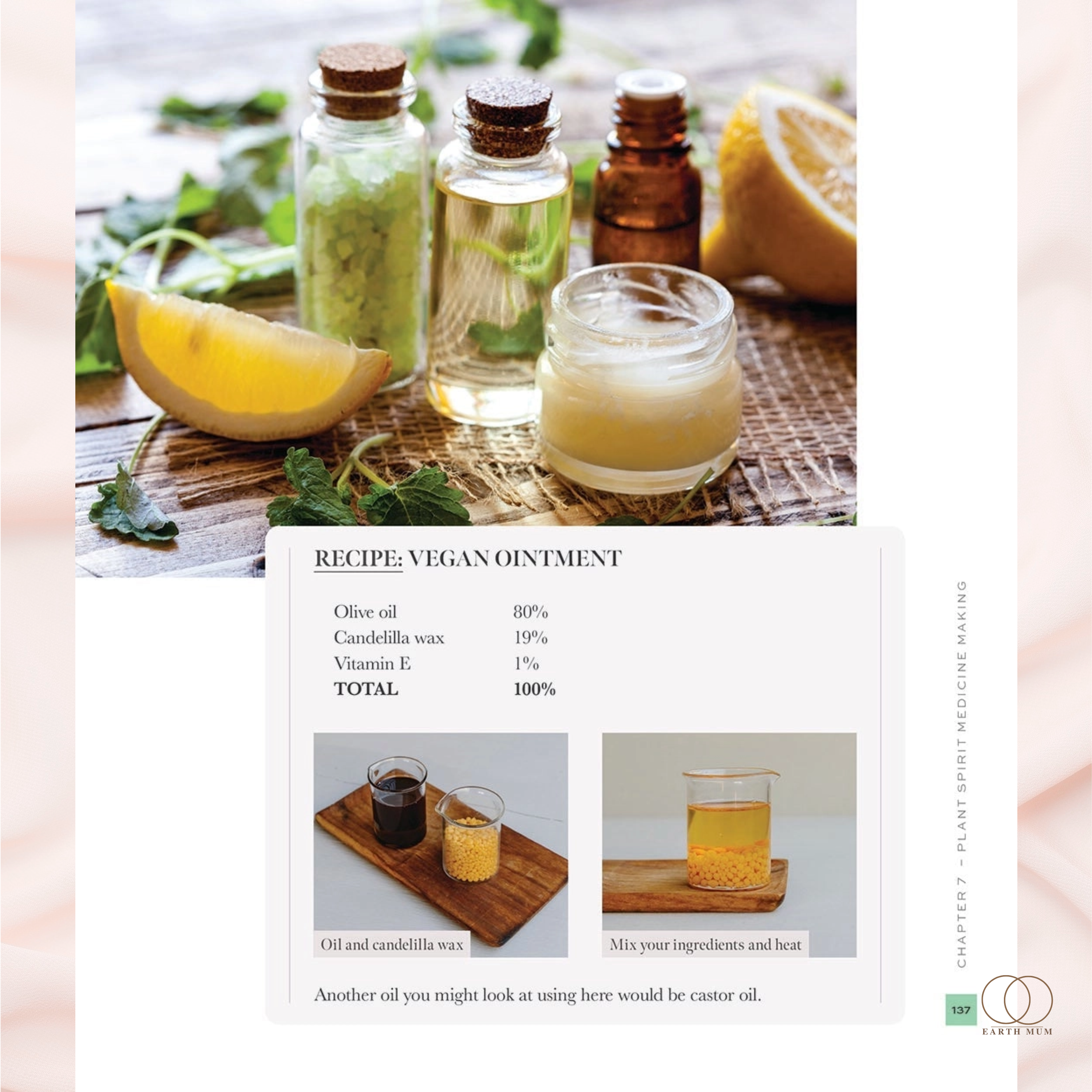 Plant Spirit Medicine Making: A Guide to Making Healing Products from Nature