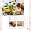 Plant Spirit Medicine Making: A Guide to Making Healing Products from Nature