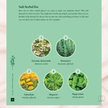 Plant Spirit Medicine Making: A Guide to Making Healing Products from Nature
