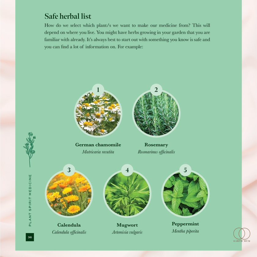 Plant Spirit Medicine Making: A Guide to Making Healing Products from Nature