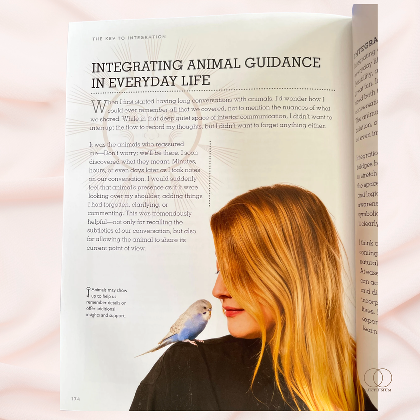 The Spirit Animal Directory: 100 Spirit Animals for Inner Enlightenment