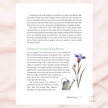 The Witch's Apothecary by Lorriane Anderson | Magical Potions & Herbal Craft