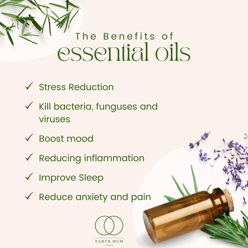 doTERRA Balance Grounding Blend – Essential Oil for Calm & Emotional Balance