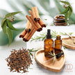 doTERRA Balance Grounding Blend – Essential Oil for Calm & Emotional Balance