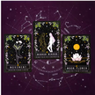 Moon Witch Oracle Deck – Unlock the Magic of the Moon