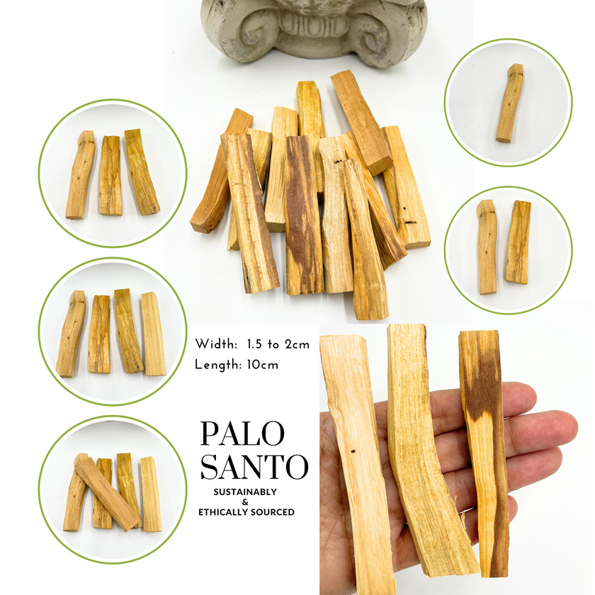 Palo Santo Sticks – Ethically Harvested Peruvian Holy Wood