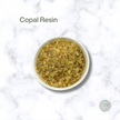 Incense Resin Sampler Pack # 1 | 8 Traditional Resins – 14g Each
