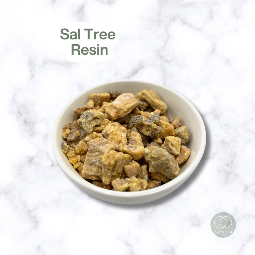 Incense Resin Sampler Pack # 1 | 8 Traditional Resins – 14g Each