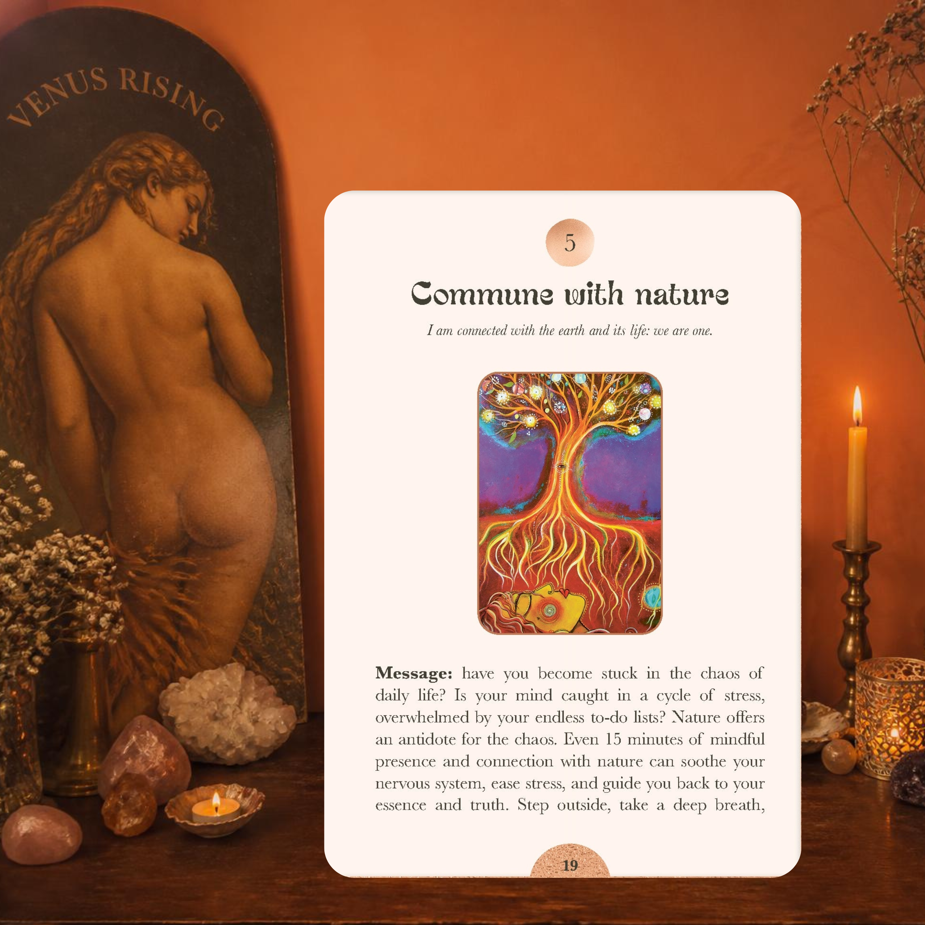 Venus Rising Oracle by Outi Harma | 36 Card Oracle Deck
