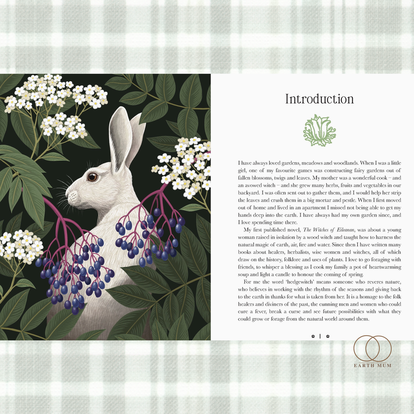 Hedgewitch Oracle by Kate Forsyth | 44-Card Oracle Deck