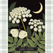 Hedgewitch Oracle by Kate Forsyth | 44-Card Oracle Deck