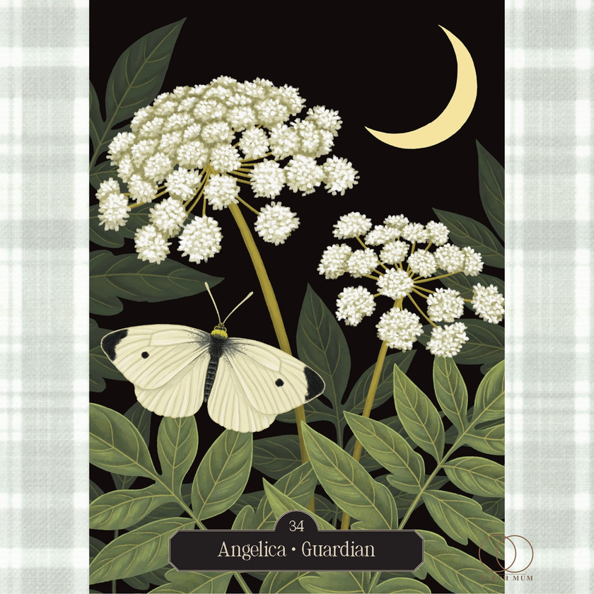 Hedgewitch Oracle by Kate Forsyth | 44-Card Oracle Deck