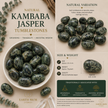 Kambaba Jasper Tumblestone – Grounding, Tranquillity & Connection