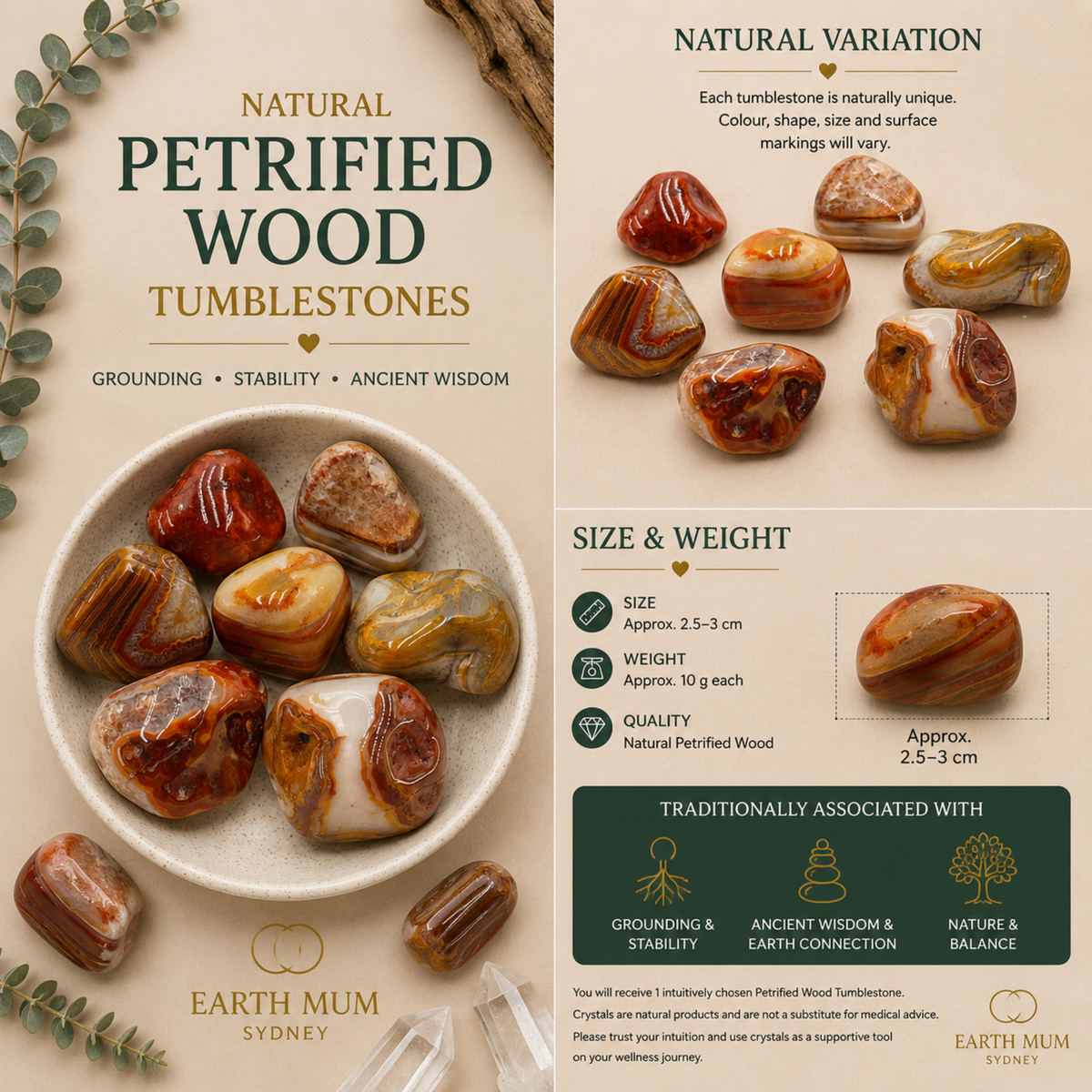 Petrified Wood Tumblestone – Grounding, Stability & Ancient Wisdom