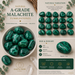 A-Grade Malachite Tumblestone – Transformation, Protection & Balance