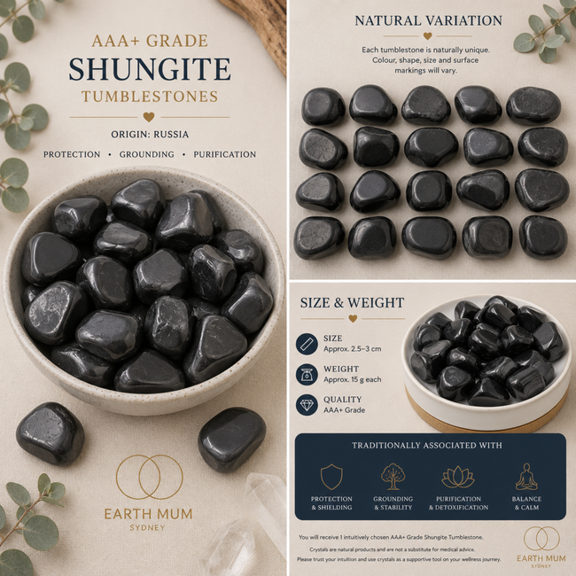Shungite Tumblestone – Grounding & Protection Crystal