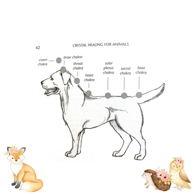 Crystal Healing for Animals