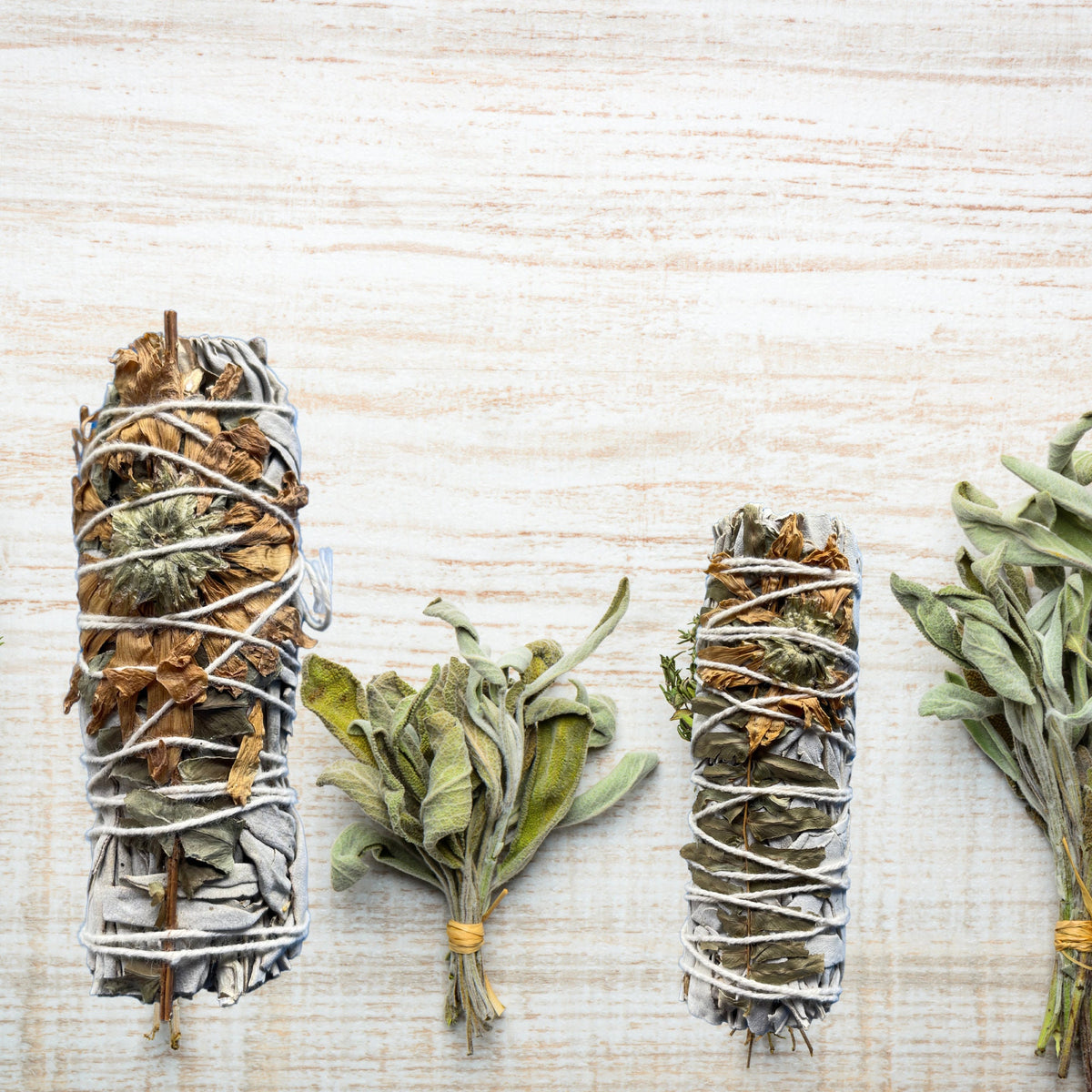 Peaceful White Sage, Organic Smudge sticks, Smudging, Meditation Sacred Rituals Cleansing Healing