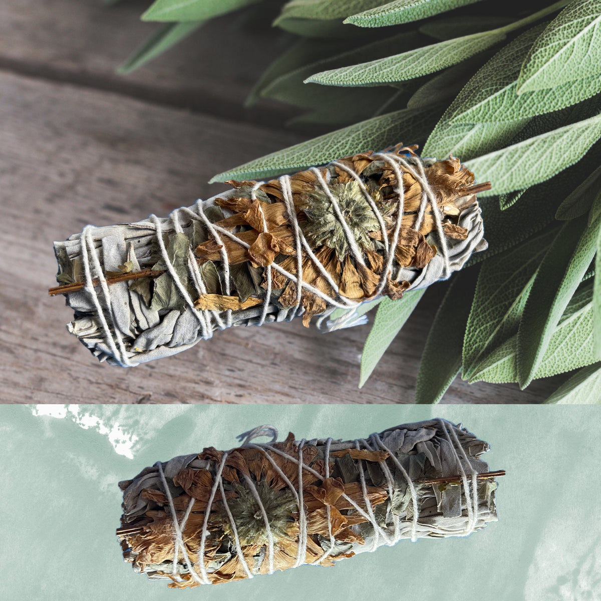 Peaceful White Sage, Organic Smudge sticks, Smudging, Meditation Sacred Rituals Cleansing Healing