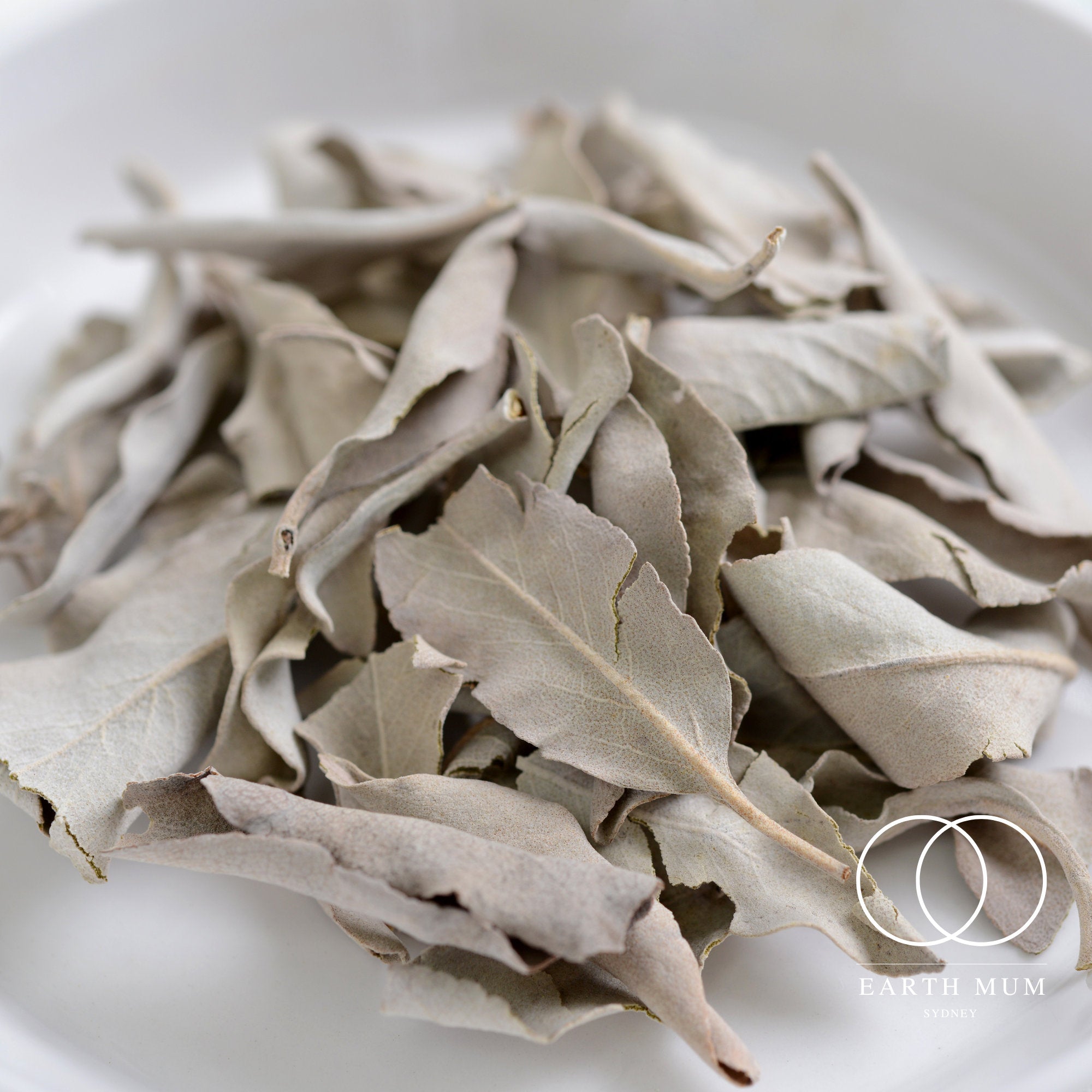 White Sage Smudge Sticks, Cleansing wand for Yoga & Meditation - Cleansing Rituals 10 -12cm